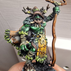 Picture of print of Druid