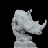 Savanna Bust Rhino presupported image