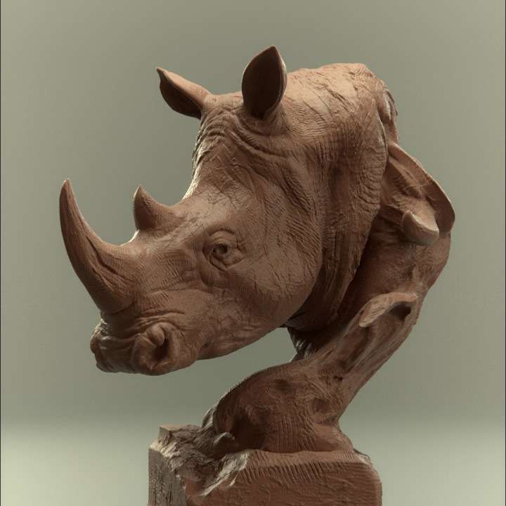 Savanna Bust Rhino unsupported's Cover
