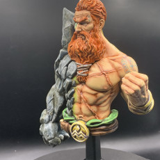 Picture of print of Earth master bust pre-supported