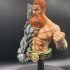 Earth master bust pre-supported print image