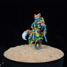 Picture of print of Foxfolk Monk (2 Versions)