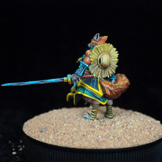Picture of print of Foxfolk Monk (2 Versions)