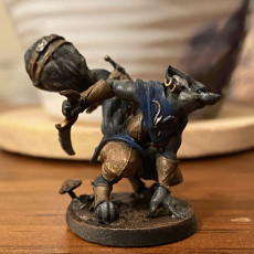Picture of print of Foxfolk Rogue