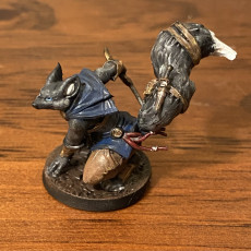 Picture of print of Foxfolk Rogue