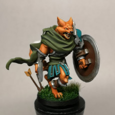 Picture of print of Foxfolk Warrior