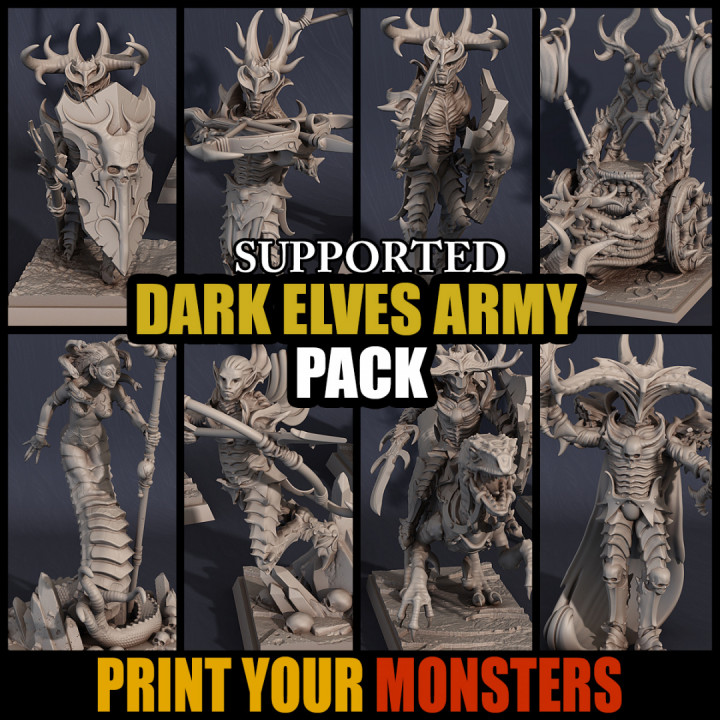 DARK ELVES ARMY PACK (ADD-ON)'s Cover