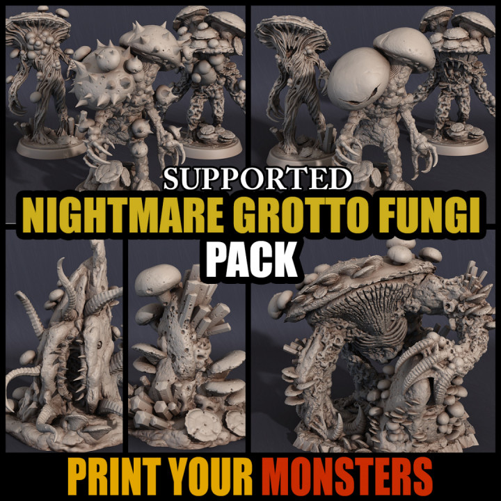 NIGHTMARE GROTTO FUNGI PACK (ADD-ON)'s Cover