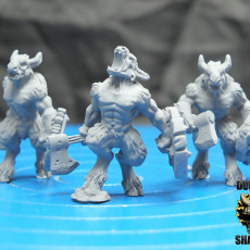 Picture of print of Beastmen Axe and Shields (pre supported)