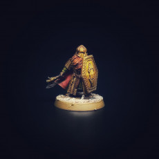Picture of print of Durnir, Shield Bearer