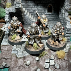 Picture of print of Dwarves of the Saphire Ridges Gemwardens with 2 handed Axes