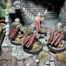 Picture of print of Dwarves of the Saphire Ridges Gemwardens with 2 handed Axes