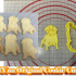 Dog Pet Cookie Cutter image