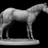 Horse Tabletop miniature image