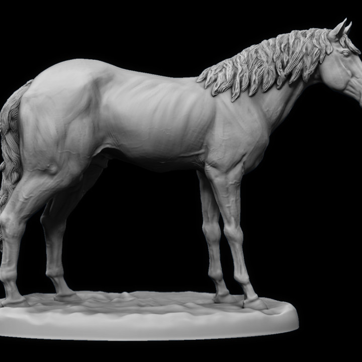 Horse Tabletop miniature