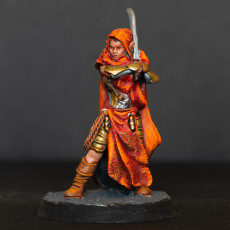 Picture of print of Elf Warriors (F) (pre-supported)
