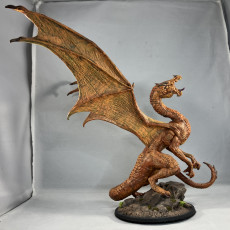 Picture of print of Young Dragon (pre-supported)