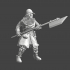 Medieval infantryman with poleweapon image