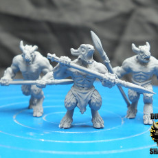 Picture of print of Beastmen with Spears (Pre Supported)