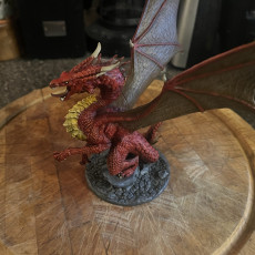 Picture of print of Red Dragon (pre-supported)