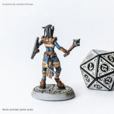 Picture of print of Draenei Female Shaman Mace and Shield