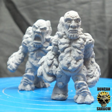Picture of print of Earth Golem/ Elemental (pre supported)