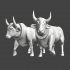 Two draught animals - Oxen image