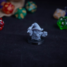 Picture of print of Owlkin Wizard 1A Miniature - Pre-Supported