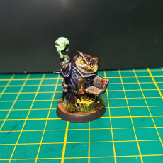 Picture of print of Owlkin Necromancer 1A Miniature - Pre-Supported