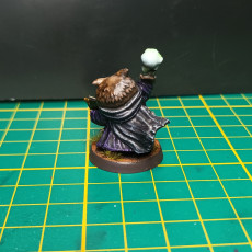 Picture of print of Owlkin Necromancer 1A Miniature - Pre-Supported