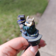 Picture of print of Owlkin Librarian Miniature - Pre-Supported