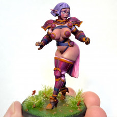Picture of print of Pointless Armor Elf