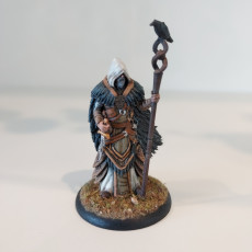 Picture of print of Tempest Hold Raven Mage