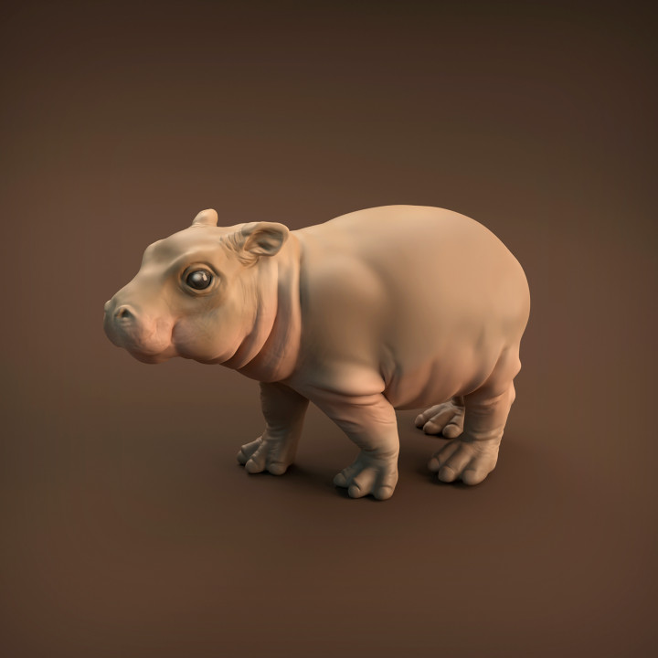 $4.00Baby Hippo