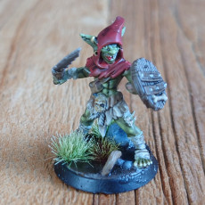 Picture of print of Male Goblin Fighter