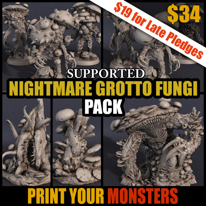 NIGHTMARE GROTTO FUNGI PACK (ADD-ON) (Non-backers)'s Cover