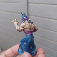 Picture of print of Magus the Wizard