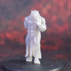Picture of print of Rakshasa - Tabletop Miniature (Pre-Supported)