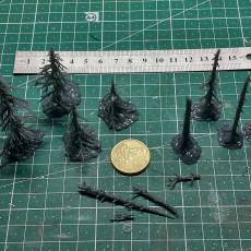 Picture of print of Coniferous Forest - Dry Spruce Trees /Modular Set/