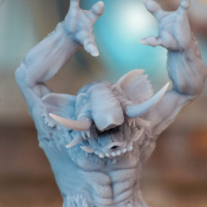 Picture of print of Tundra TROLL #5 PRESUPPORTED
