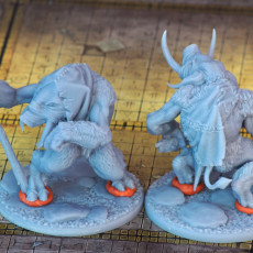Picture of print of Tundra TROLL #6 PRESUPPORTED