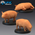 Farm Animal Pig Set / Eating / Lying image