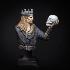 Picture of print of The Shady Noble - Bust