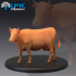Farm Animal Cow Standing image