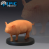 Farm Animal Pig Standing image