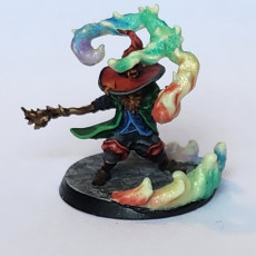 Picture of print of Zigmoon gnome mage