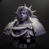 Female Space Commander Bust image