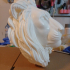 Recumbent Lion Bust/Wall Mounted Head (Dual Purpose) image