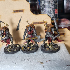 Picture of print of Lordsguard Knights x 3
