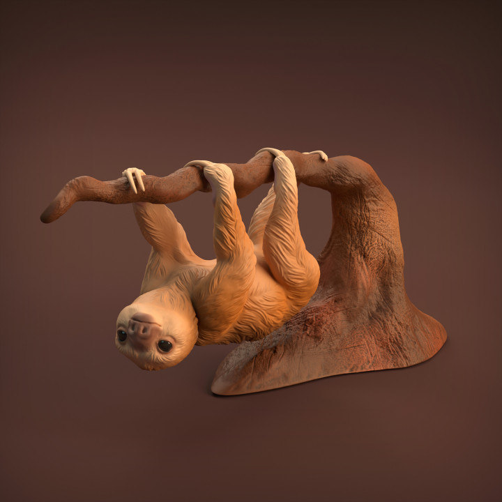 $7.00Baby Sloth